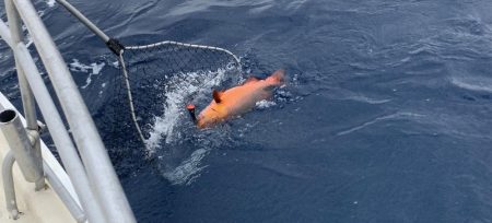 チャーター船でGT！