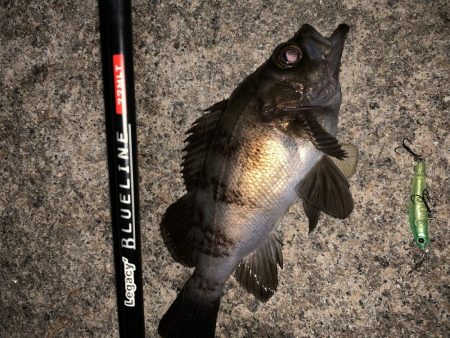 短時間メバリング