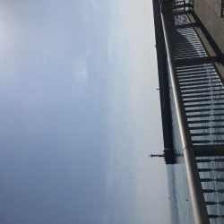 タンゴブゲーム