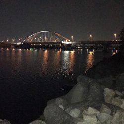 淀川のチニングに挑戦！