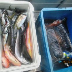 大アジ　黒ムツ　赤イサギ クーラー満タン(^_-)
