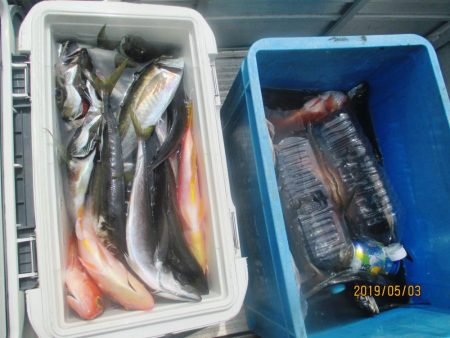 大アジ　黒ムツ　赤イサギ クーラー満タン(…