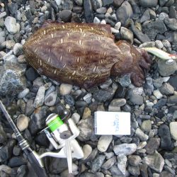 やる気スイッチ、俺のはどこにあるんだろう…