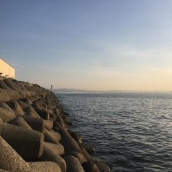 凄いパワーで楽しい♪