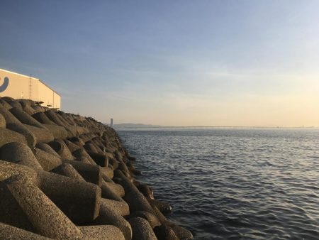 凄いパワーで楽しい♪