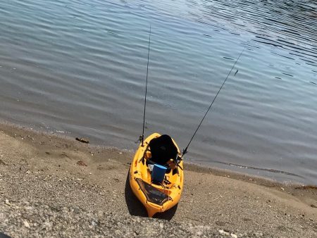 １匹釣るのがやっと