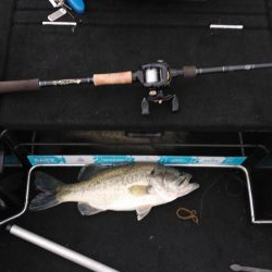 GWビッグフィシュ狙い