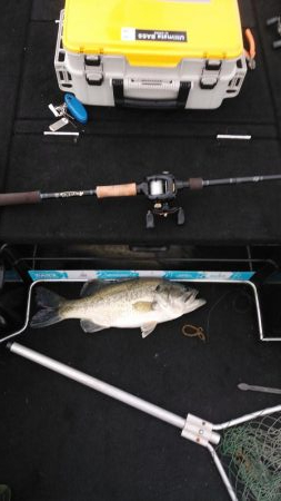 GWビッグフィシュ狙い