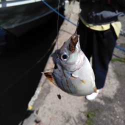 釣り姫ベイビー爆誕