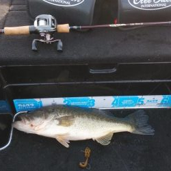 GW明けアシ打ち爆釣