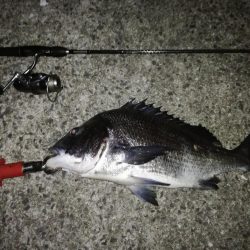 年無しサイトフィッシング