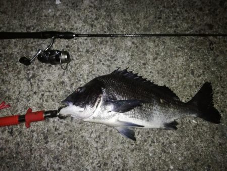 年無しサイトフィッシング