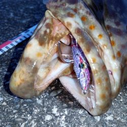 外道ですが（笑）