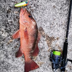 ２週間ぶりの釣果