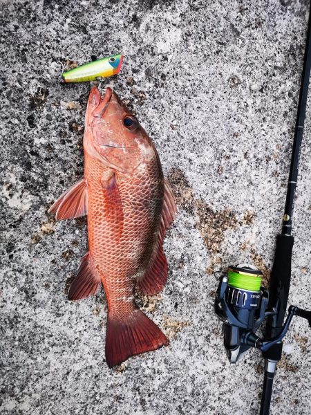 ２週間ぶりの釣果