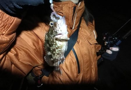 南港コスモスクエア　ヘチ釣りでまさかの！？