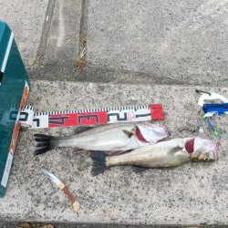 ひさびさの日本海