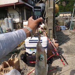 ボートエギング