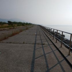 良型キスがポツポツと