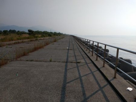 良型キスがポツポツと