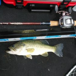 ヒシモパターン