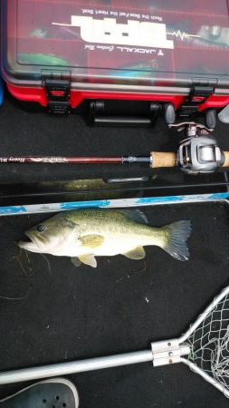 ヒシモパターン