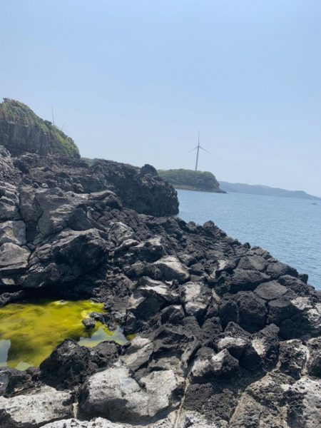 令和フィッシュはコイツでした！