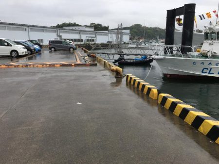 アジ8匹、コノシロ1匹