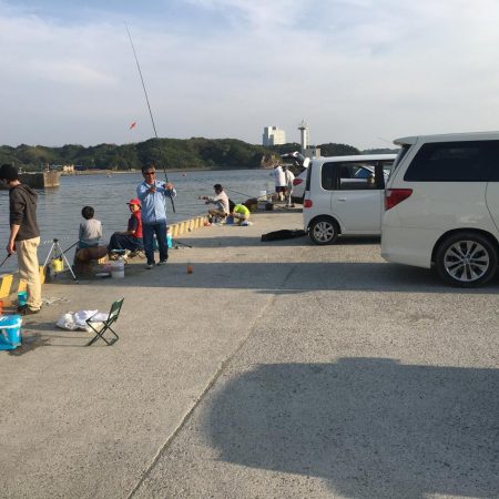 コアジ2匹、イワシ7匹