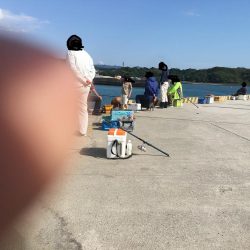 アジ25匹、イワシ14匹