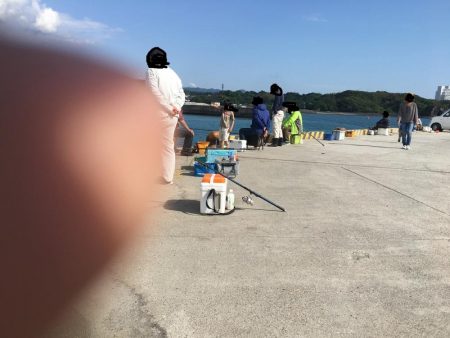 アジ25匹、イワシ14匹