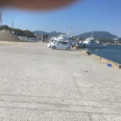 サビキで36㎝超ヒラメゲット！