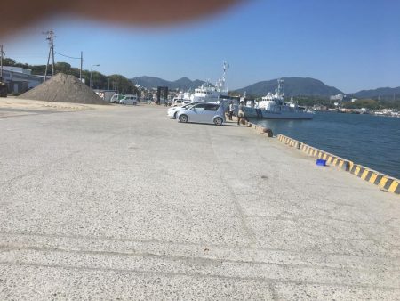 サビキで36㎝超ヒラメゲット！