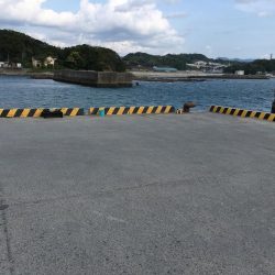 アジ良型24匹、セイゴ1匹