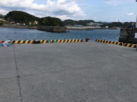 アジ良型24匹、セイゴ1匹