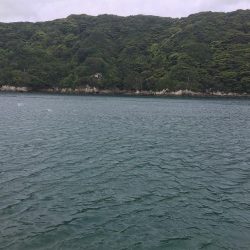 シマアジ小1匹、エソ1匹、コサバ13匹