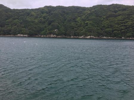 シマアジ小1匹、エソ1匹、コサバ13匹