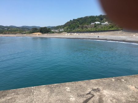 グレ、コサバ、ガシラなど