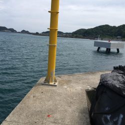 コサバ多数、豆アジ8匹、赤雑魚7匹、藤五郎イワシ1匹