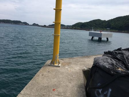 コサバ多数、豆アジ8匹、赤雑魚7匹、藤五郎イワシ1匹