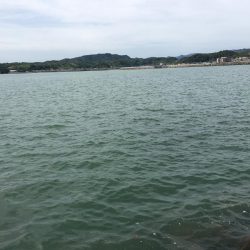 テトラの穴釣りに挑戦