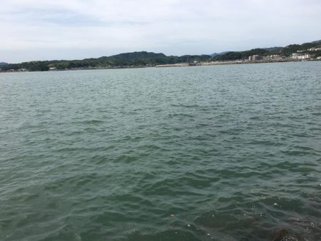 テトラの穴釣りに挑戦