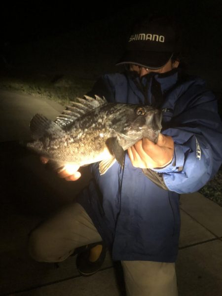 小潮の夜 短時間釣行！