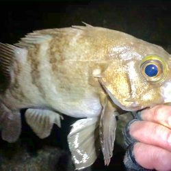 令和１発目の淡路島！