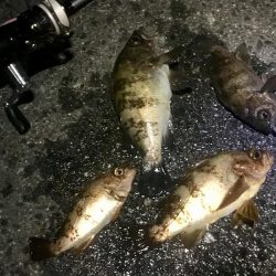 サタデーナイトフィーバーならず。。。