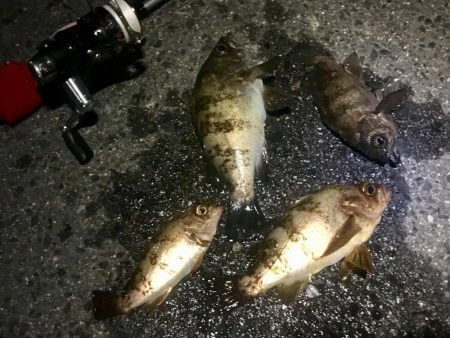 サタデーナイトフィーバーならず。。。