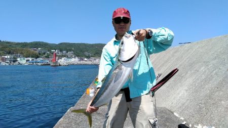 てっきり大ヒラメかとおもいきや