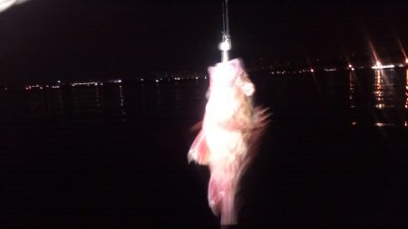 日をまたいでの梯子釣行