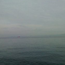 先週が嘘のように釣れない。。