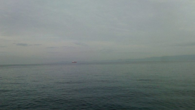 先週が嘘のように釣れない。。